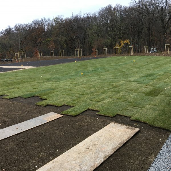 POKLÁDKA TRÁVNEJ MAČINY